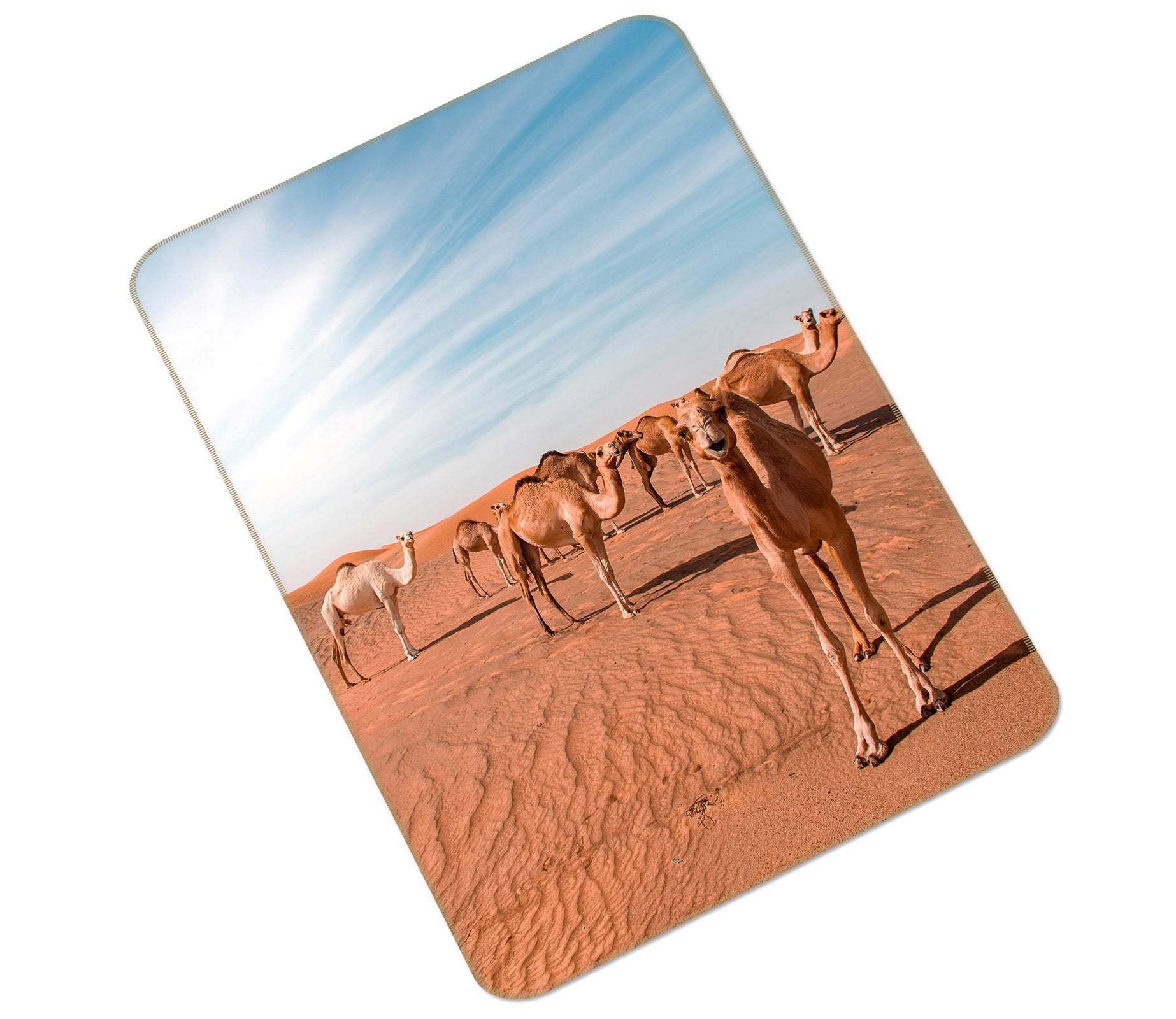 3D Camel Desert 149 Animal Non Slip Rug Mat