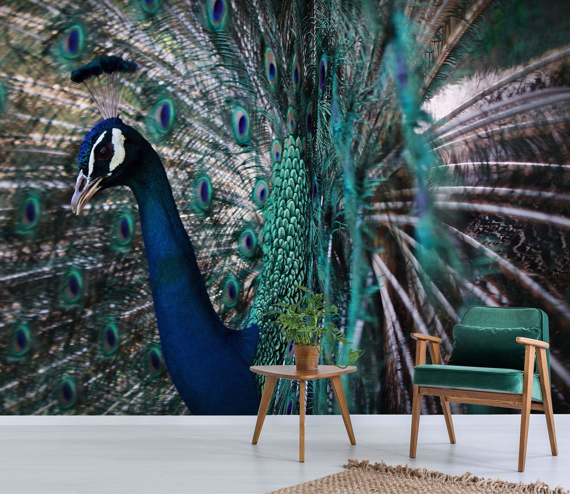 3D Peacock Side Face 219 Wallpaper AJ Wallpaper 