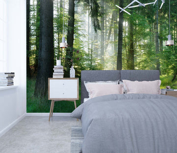 3D Woods Forest 140 Wall Murals Wallpaper AJ Wallpaper 2 