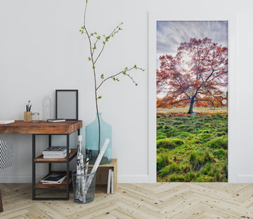 3D Green Grass Trees 101229 Assaf Frank Door Mural