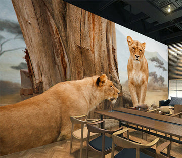 3D Prairie Tiger 1044 Wall Murals