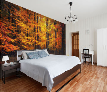 3D Maple Forest Leaf 019 Wall Murals