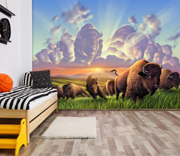 3D Stampede 114 Jerry LoFaro Wall Mural Wall Murals