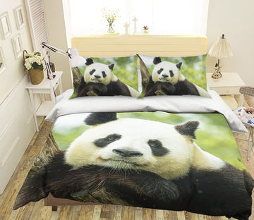 3D Panda Stump 090 Bed Pillowcases Quilt
