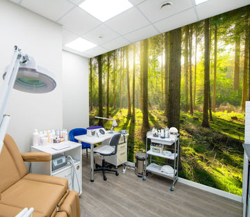 3D Woods Shadow Sunlight 023 Wall Murals Wallpaper AJ Wallpaper 2 