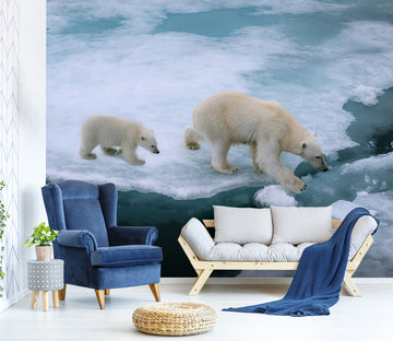 3D Glacier Bear 189 Wall Murals