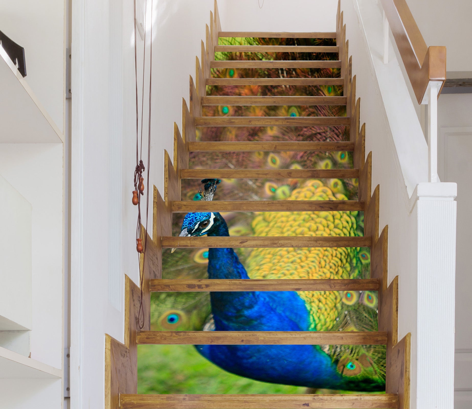 3D Peacock 94107 Kathy Barefield Stair Risers