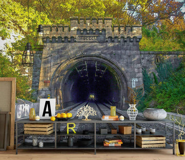 3D Train Tunnel 91110 Alius Herb Wall Mural Wall Murals