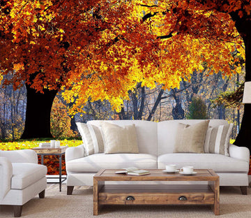 3D Woods Red Autumn 025 Wall Murals
