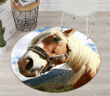 3D Horse Laugh 062 Animal Round Non Slip Rug Mat Mat AJ Creativity Home 