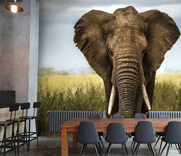 3D Steppe Elephant 1071 Wall Murals