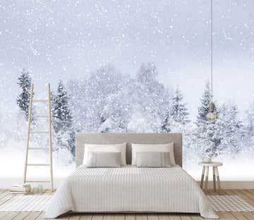 3D Snow Scene 1650 Wall Murals