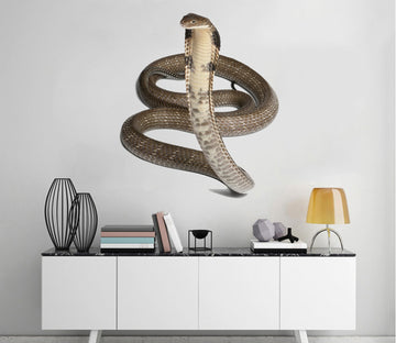 3D Snake Looking Up 161 Animals Wall Stickers Wallpaper AJ Wallpaper 
