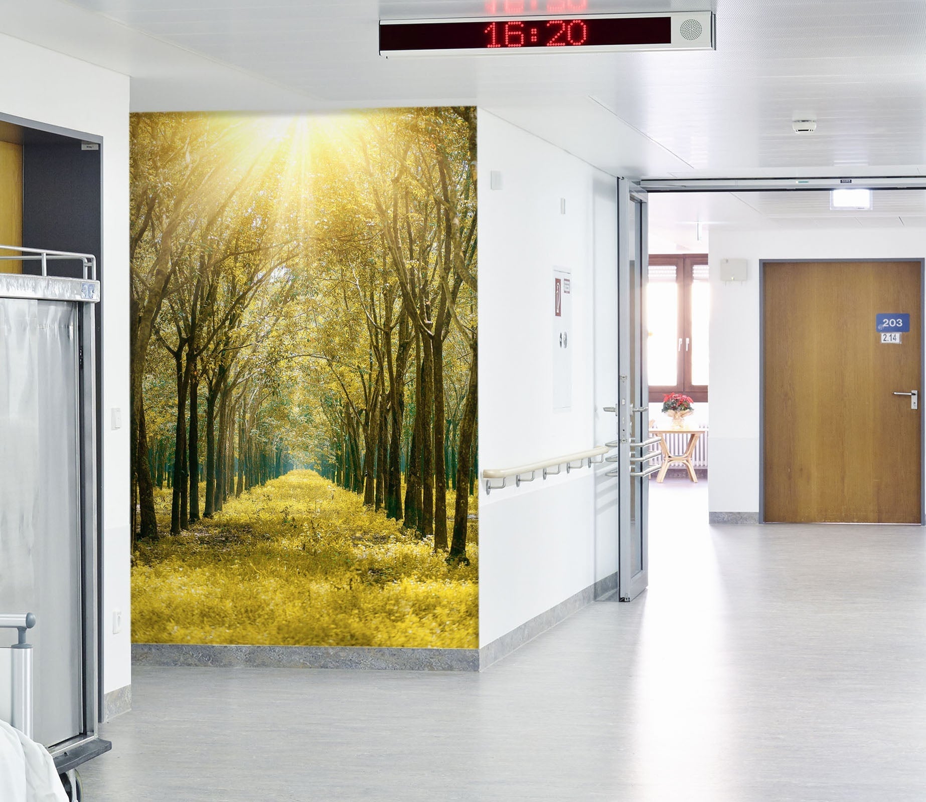 3D Sunshine Park Grass 049 Wall Murals Wallpaper AJ Wallpaper 