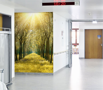 3D Sunshine Park Grass 049 Wall Murals Wallpaper AJ Wallpaper 