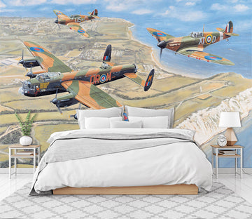 3D Military Aircraft 1007 Trevor Mitchell Wall Mural Wall Murals
