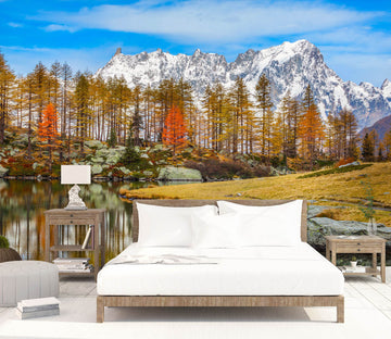 3D Forest Lake 1408 Marco Carmassi Wall Mural Wall Murals