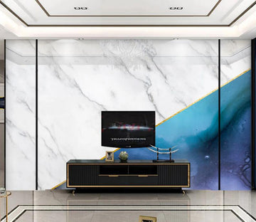 3D Two-color Handover 177 Wall Murals