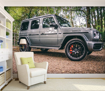 3D Auto Mercedes-Benz 102 Vehicle Wall Murals