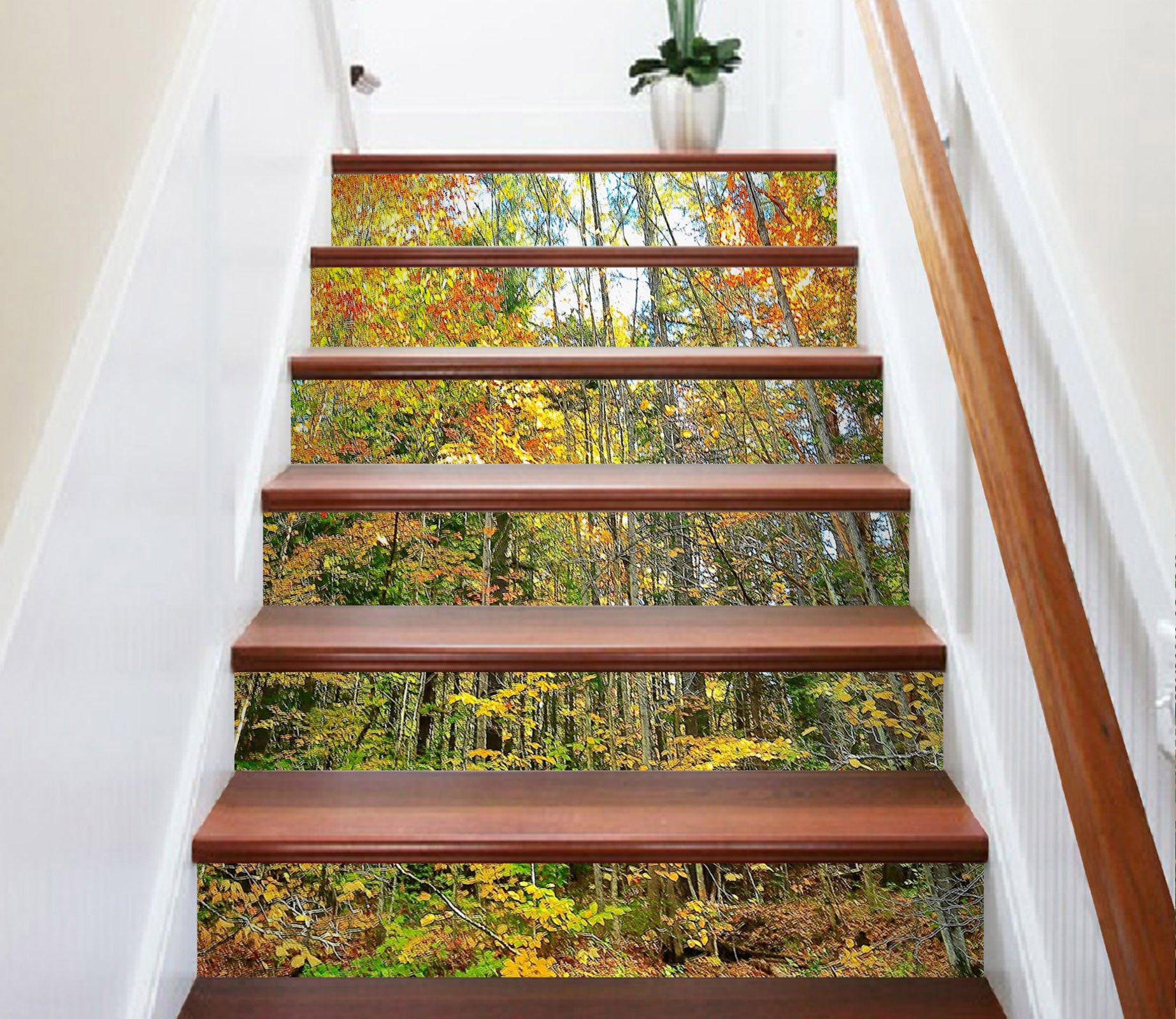 3D Forest 94109 Kathy Barefield Stair Risers