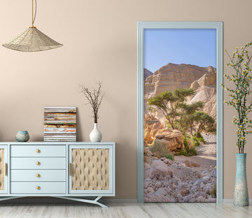 3D Rock Desert 10729 Assaf Frank Door Mural