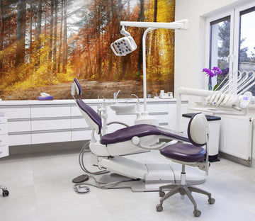 3D Tree in fall 08 Wall Murals Wallpaper AJ Wallpaper 