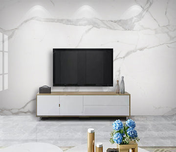 3D Marble Pattern WG225 Wall Murals