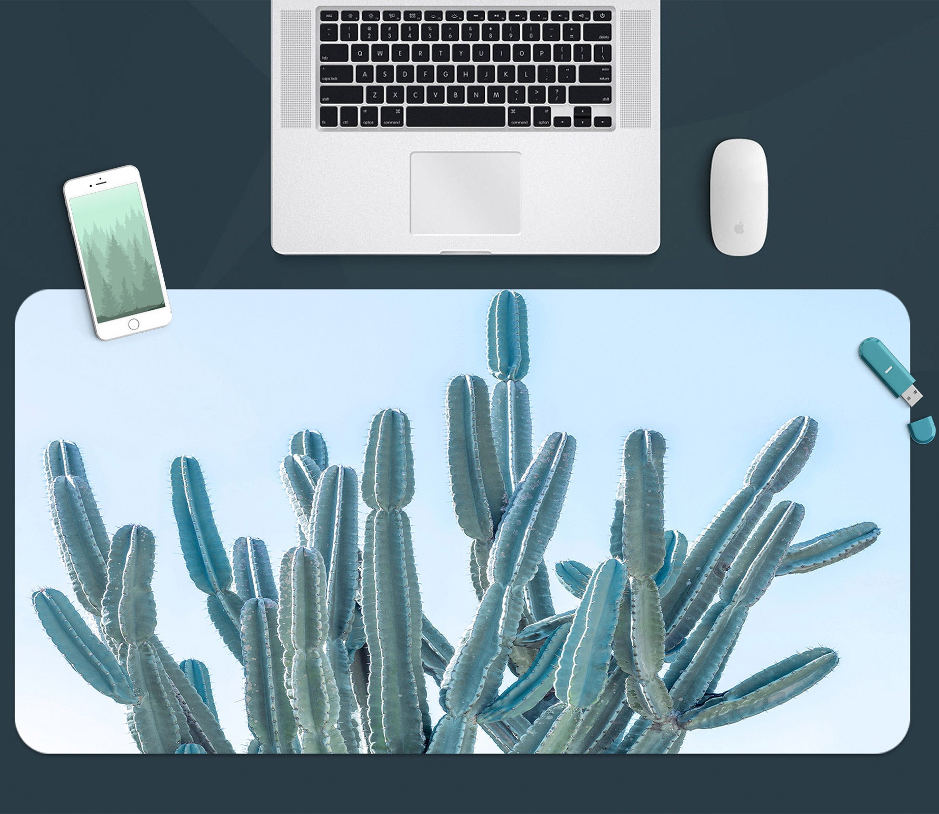 3D Cactus 12426 Assaf Frank Desk Mat