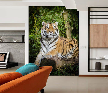 3D Forest Tiger 105 Wall Murals