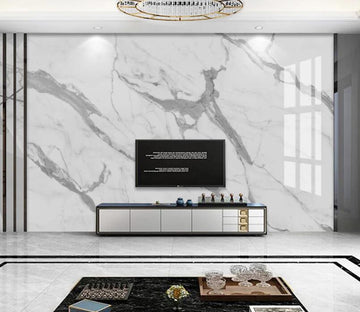 3D Gray Spread 699 Wall Murals