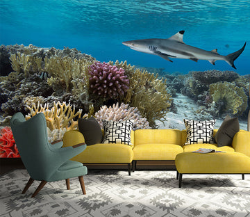 3D Sea Fish 1070 Wall Murals
