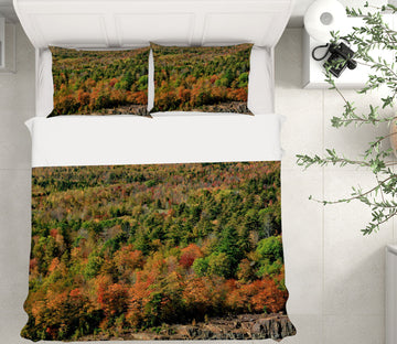 3D Red Orange Striation 62193 Kathy Barefield Bedding Bed Pillowcases Quilt