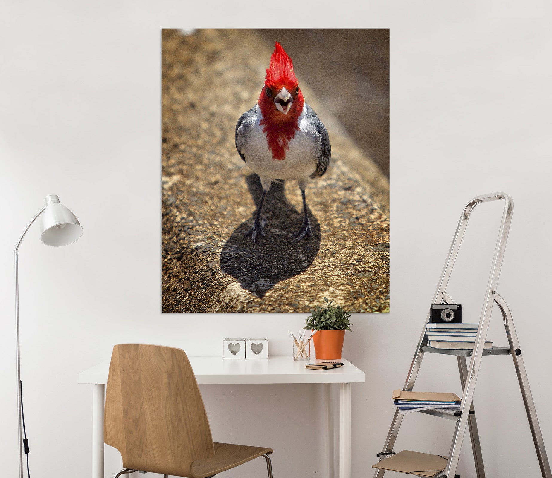 3D Sassy Cardinal 043 Kathy Barefield Wall Sticker