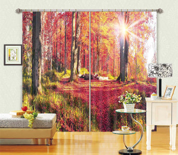 3D Red Steppe 832 Curtains Drapes