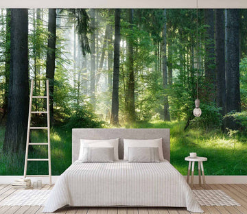 3D Sunshine Forest 663 Wallpaper AJ Wallpaper 2 