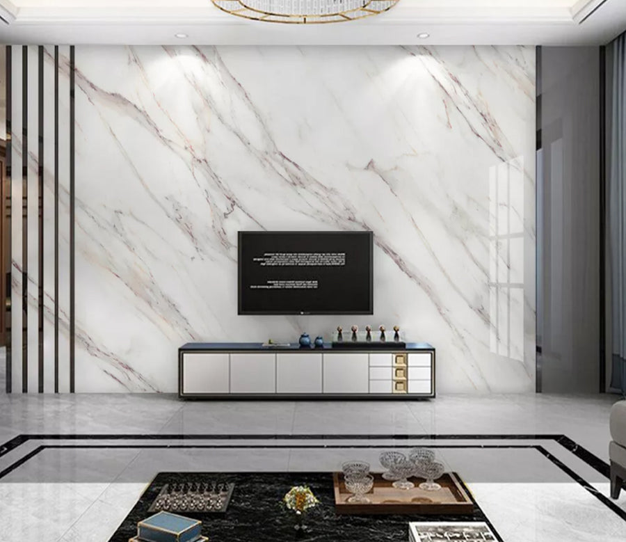 3D Line Drawing WC2239 Wall Murals