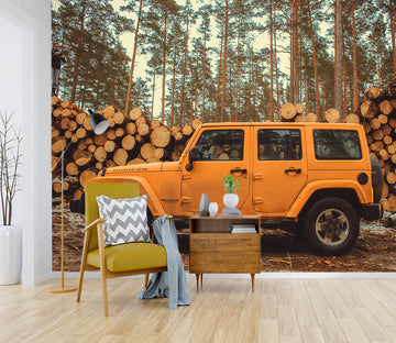 3D Wood Cross Country 346 Vehicle Wall Murals