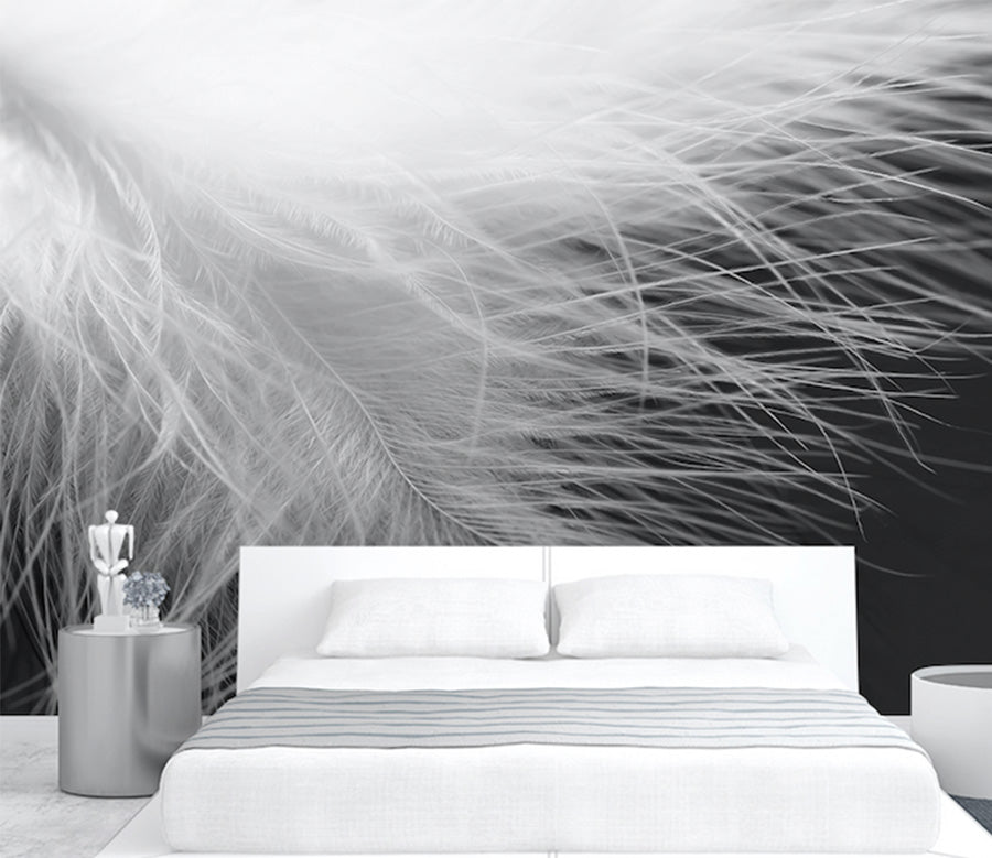 3D Soft Feather WG286 Wall Murals