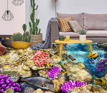 3D Rich Color Coral 623 Floor Mural