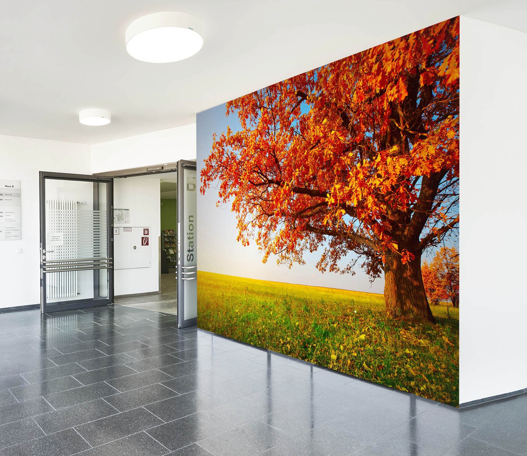 3D Autumn Landscape 185 Wall Murals