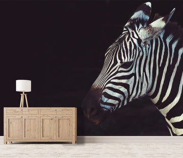 3D Zebra 579 Wallpaper AJ Wallpaper 