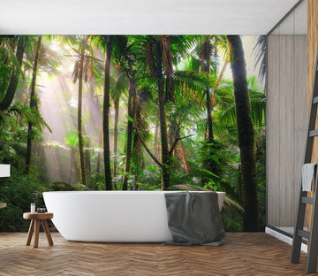 3D Deep Forest 013 Wall Murals Wallpaper AJ Wallpaper 2 