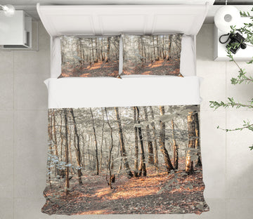3D Forest Trees 7149 Assaf Frank Bedding Bed Pillowcases Quilt Cover Duvet Cover