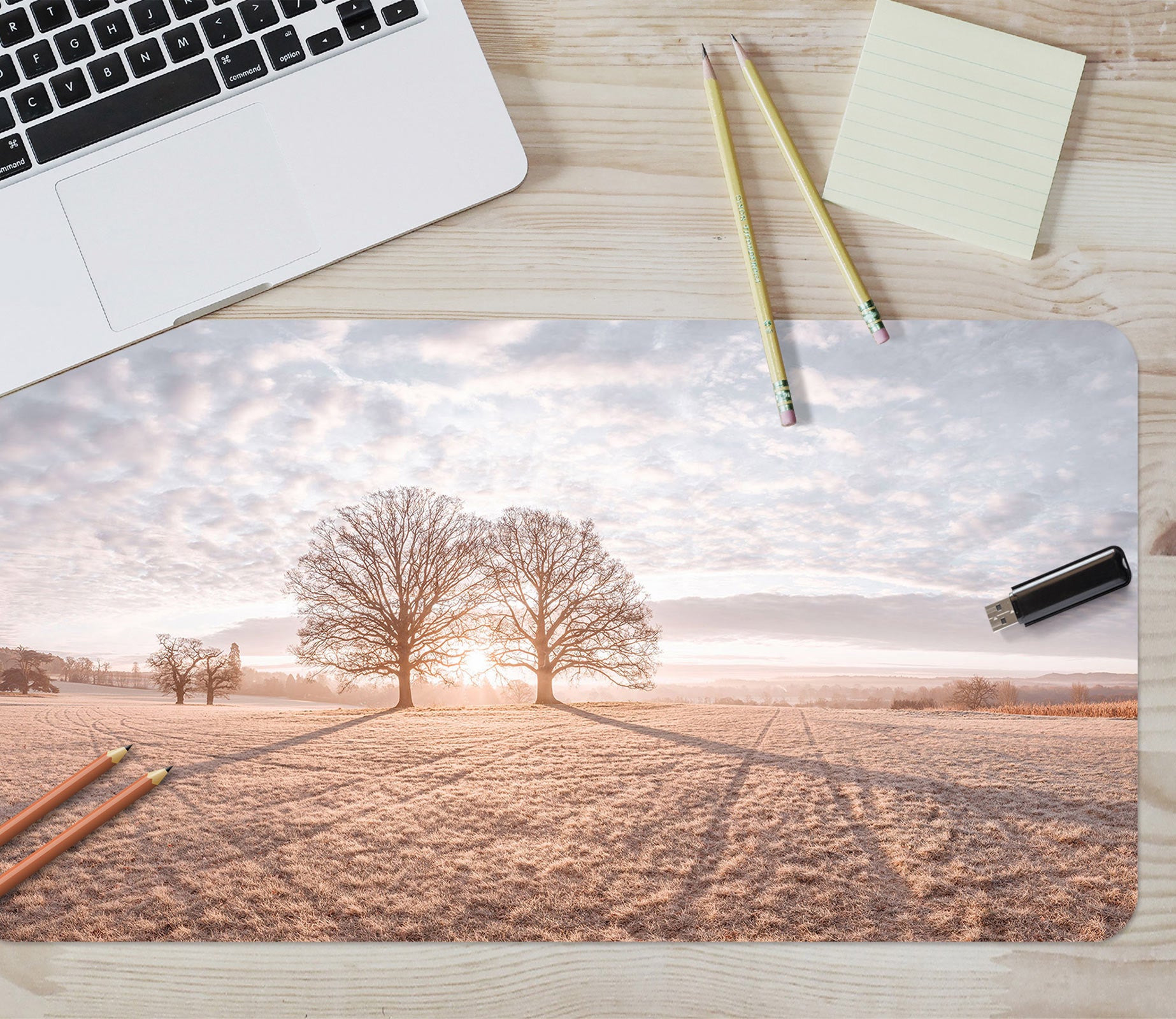 3D Sky Sunlight Lawn Tree 12455 Assaf Frank Desk Mat