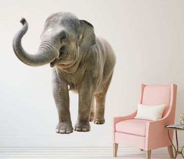 3D Playful Elephant 178 Animals Wall Stickers Wallpaper AJ Wallpaper 