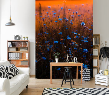 3D Sunset Flowers 2092 Wall Murals