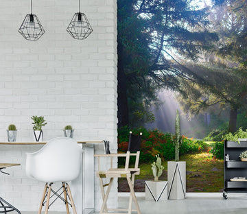 3D Sunny Forest 2096 Wall Murals