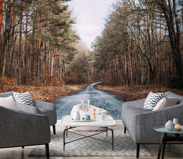 3D Woods Road 1505 Wall Murals