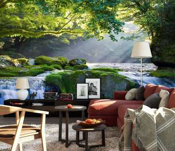3D Waterfall 1441 Wall Murals