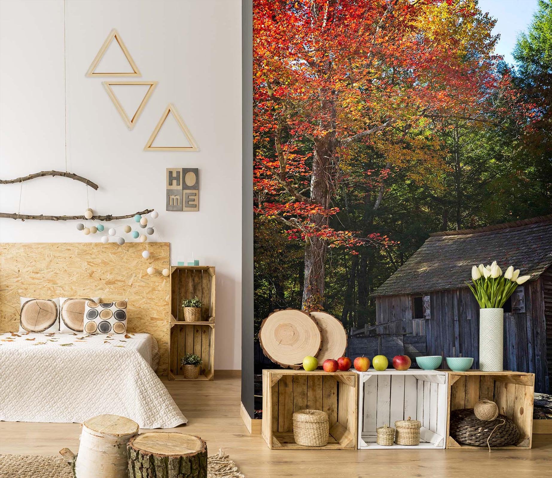 3D Autumn 1399 Kathy Barefield Wall Mural Wall Murals Wallpaper AJ Wallpaper 